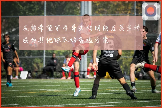 灰熊希望字母哥去向明朗后莫兰特成为其他球队的备选方案